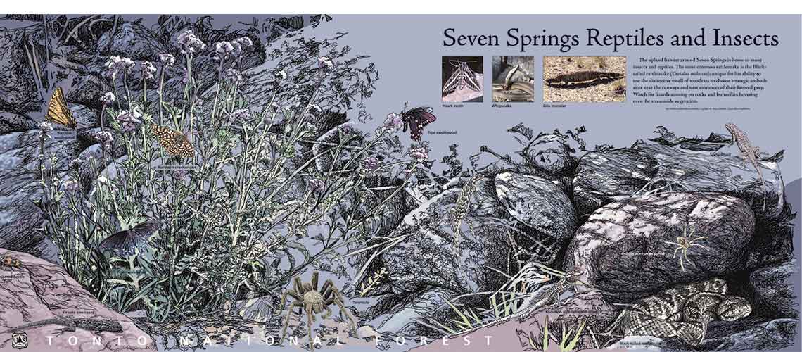Seven Springs, Tonto National Forest, Interpretive Panels
