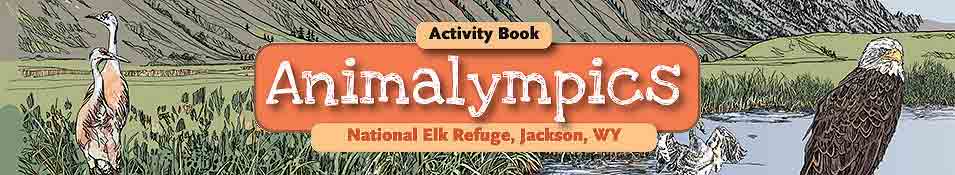 panorama of the National Elk Refuge in Jackson, Wyoming