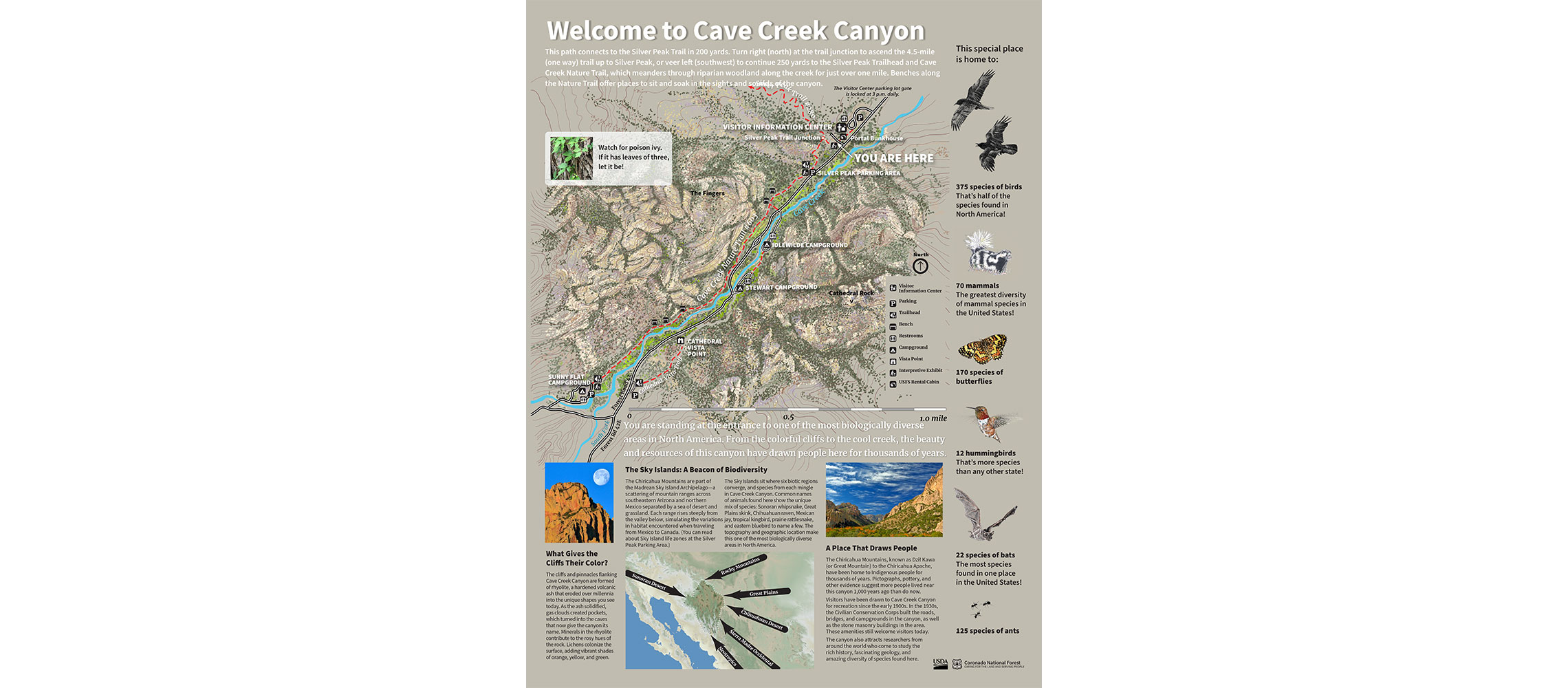 Cave Creek Canyon, Coronado National Forest