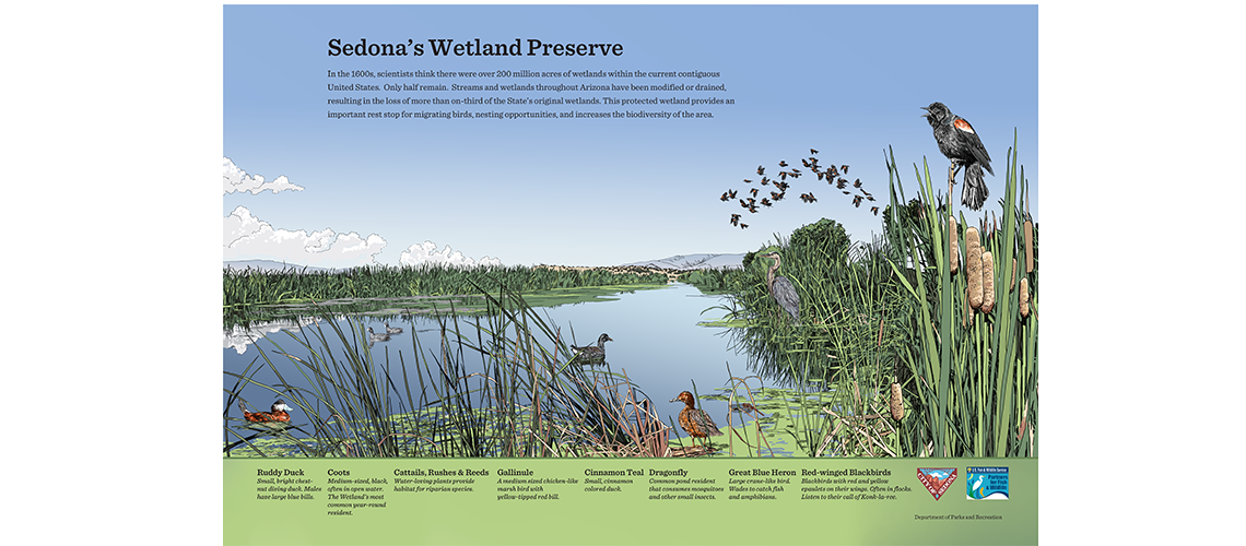 Sedona wetlands