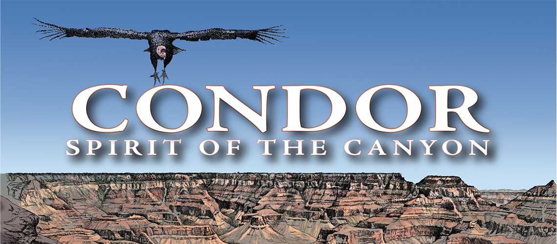 Grand Canyon Condor book