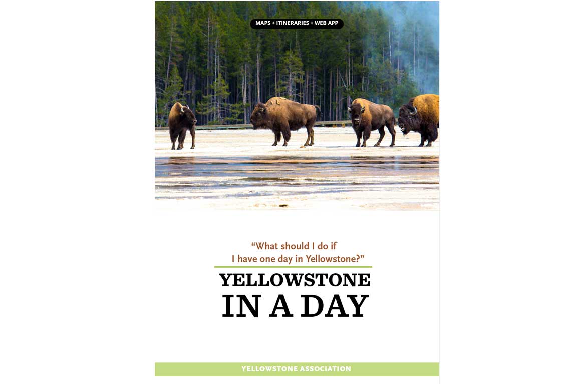Yellowstone in a Day book