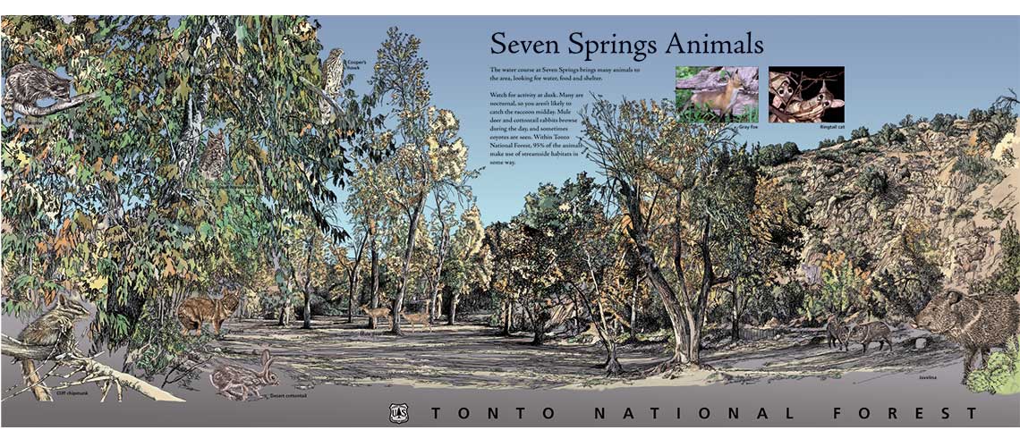 Seven Springs, Tonto National Forest, Interpretive Panels